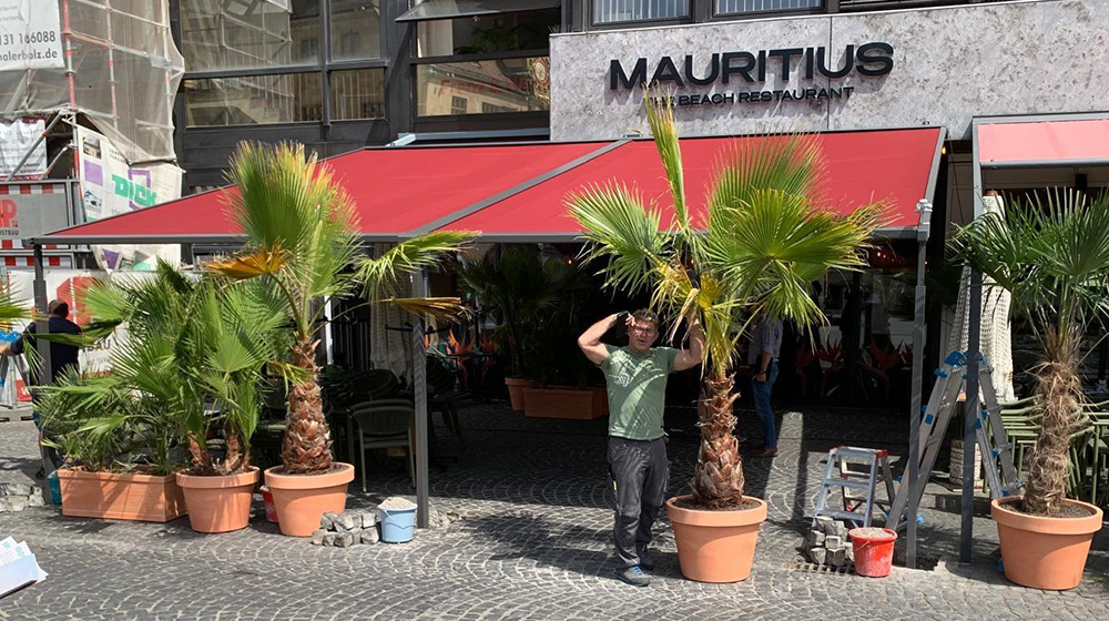 Rote Pergola Markise vor Restaurant Mauritius mit großer Ausfalltiefe und stabilen Stützen